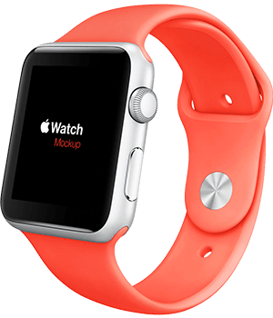 Wedding ceremony setup