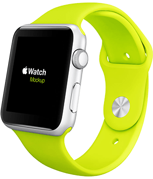 Birthday party celebration